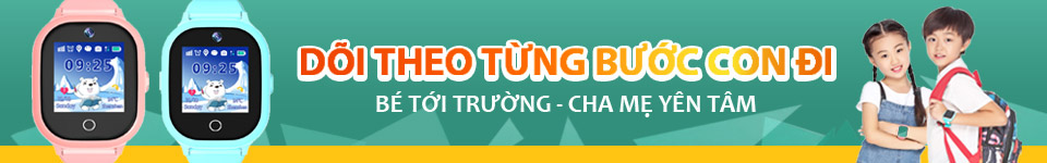 b11